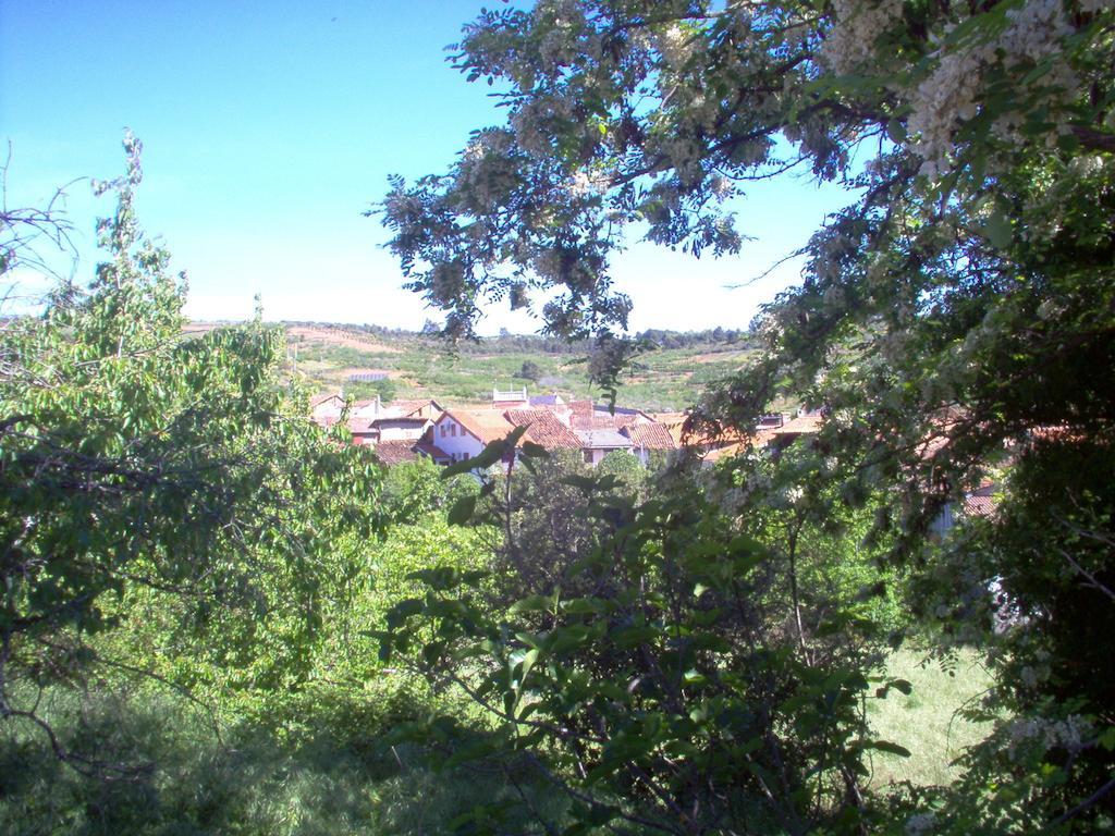 Apartamento El Dragon Serrano Sotoserrano Exterior foto